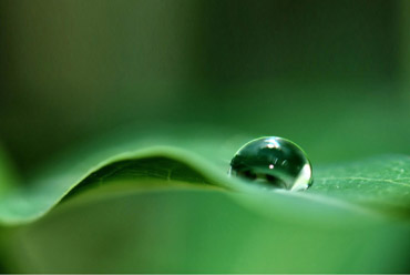 農(nóng)藥殺菌劑項目工藝轉讓